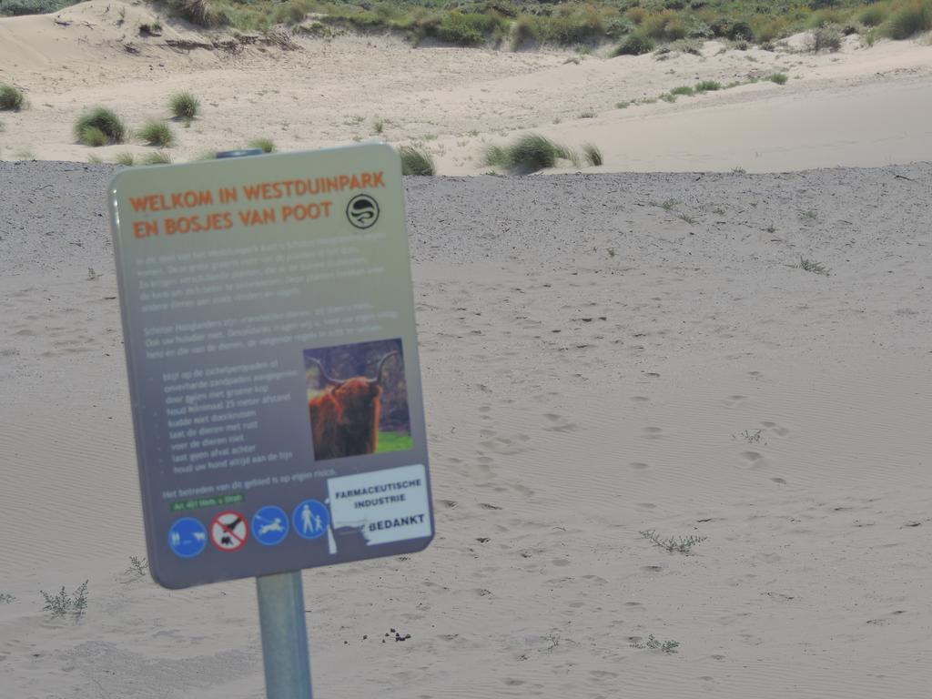 האג Sea & Dunes מראה חיצוני תמונה